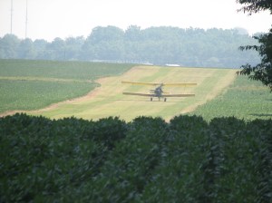 Quarter Amish photo 7