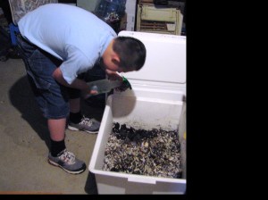 moisture for worm farms