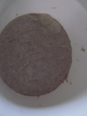 refrigerated bread dough