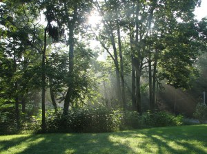 Opportunities await!