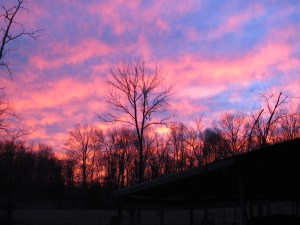 And Evening gently descends............