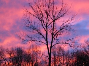 Winter evening sunset