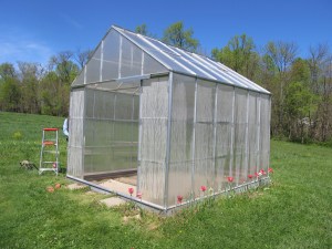 My greenhouse in the spring!