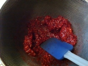 Work the puree with a spatula or spoon until only seeds remain. It takes a few minutes.
